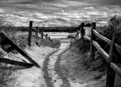 A beach path in Michigan.