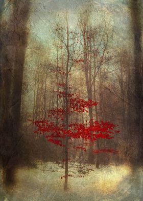 Small red tree in a winter forest