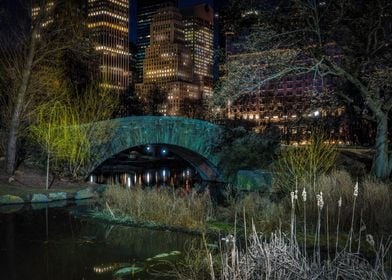 Central Park's Gapstow Bridge At Night
