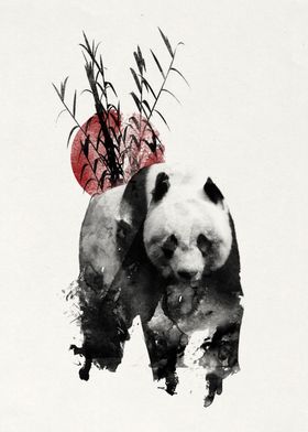 Rising Sun Panda