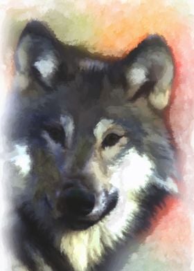 Grey Wolf digital painting