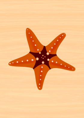 Sea Star 1