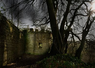 Castles of My Mind. A faux castle in a garden wall, Dou ... 