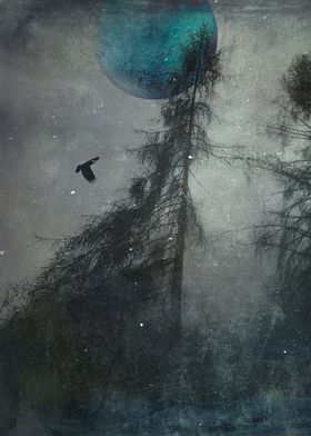 blue moon wilderness