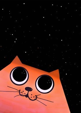 cat and stars