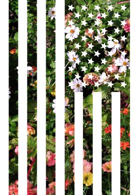 I used a photo I took of a flower bed as well as a vect ... 