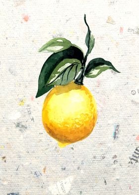 A fresh picked lemon in watercolor.
