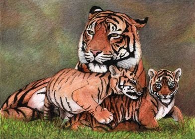 Family of tigers | Drawing realized with colored pencil ... 