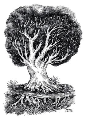 Tree 1 - ink and paper 2015