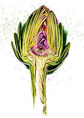 Artichoke