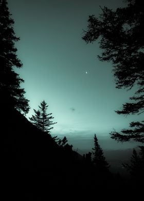 Moonlight Poem | Photography, Nikon D750