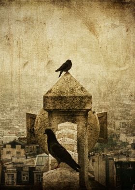 Two pigeons perch themselves at one of the highest poin ... 