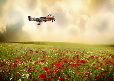 P51 Mustang Miss Kandy over a field of poppies