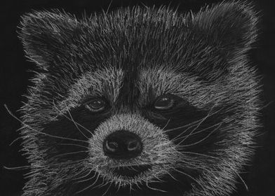 This is an art piece of a racoon titled "Cheeky Little  ... 