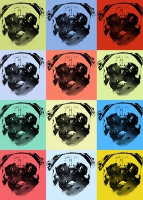 Pugs 