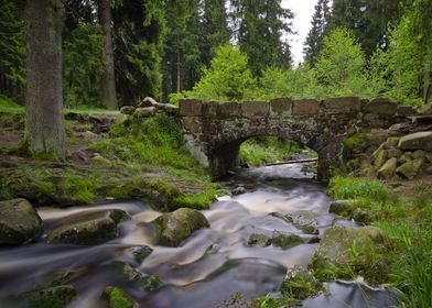 Bearsbridge at Harz Mountain