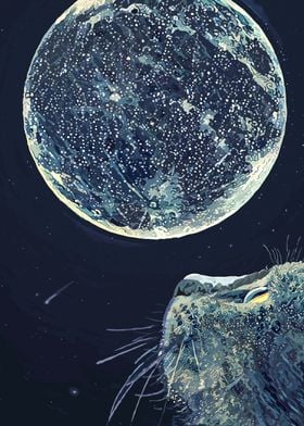 The moon and the cat