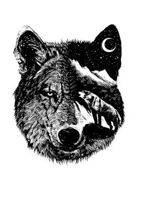 Night wolf