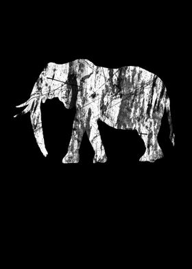 Save Elephant