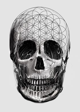 Sacred Skull