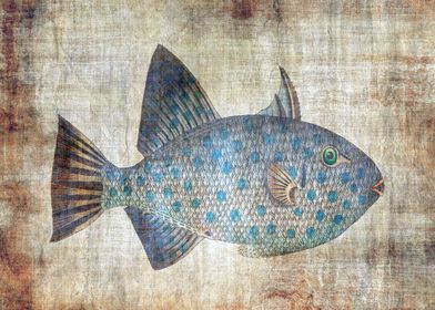Abstract Grunge Fish