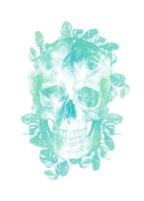 tropical skull