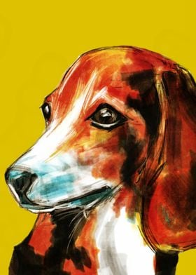 Beagle Illustration