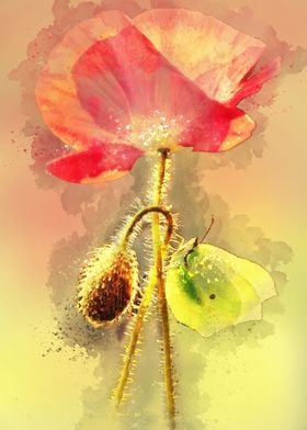 Yellow Butterfly on red poppy. Digital Artwork