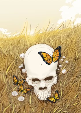 Skull and butterflies in open field
