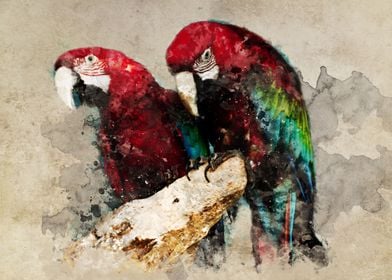 Two Ara parrots. Digital artwork