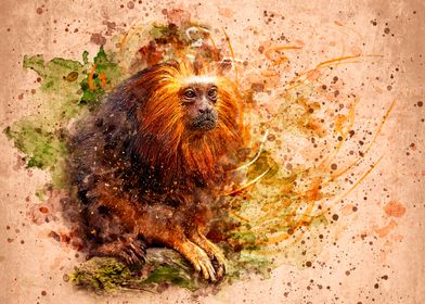 Tamarin Lion Monkey. It is an endangered species, but i ... 