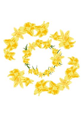 Daffodils illustration