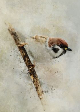 Little sparrow on the branch - digital artwork