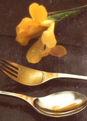 Contemporary cutlery with flowers on slate.