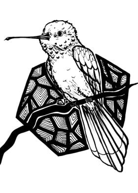Inktober day 2: Hummingbird
