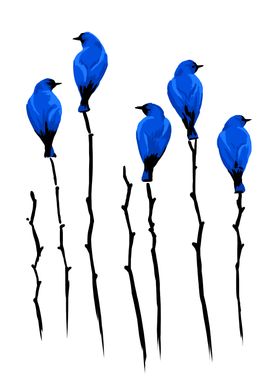 Five birds