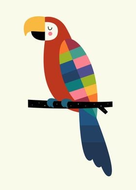 Rainbow Parrot - Let’s create your own colour palette w ... 
