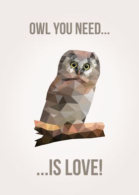 Owl you need is love!