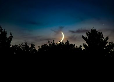 Moonrise Silhouette
