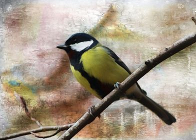 Painted Great Tit is a mixed media art and photography  ... 