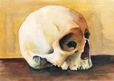 skull watercolour painting #2 for a skull watercolor pa ... 