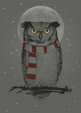 Winter owl