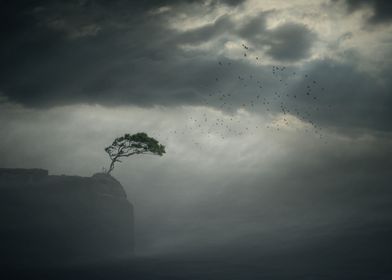 tree on edge with birds