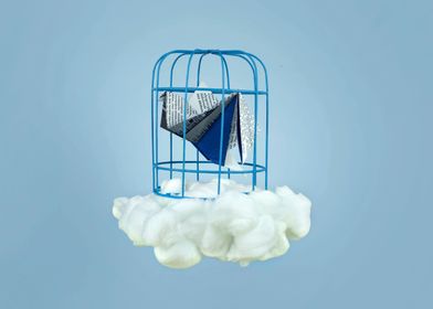 Cloud under prisoner bird