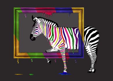 Colorful zebra in the frame, a humorous motif.