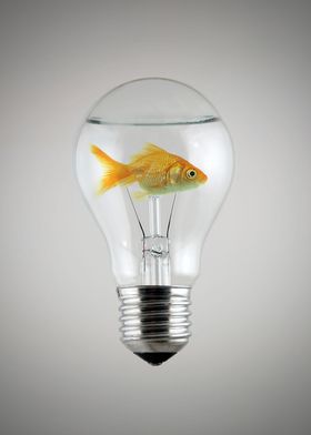 Fish locked in a lightbulb