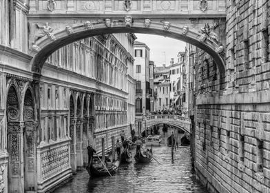Venice 08