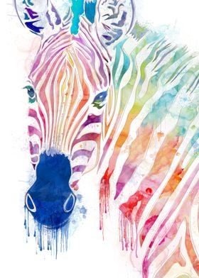 watercolor zebra
