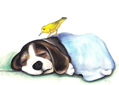 Sleeping beagle and his yellow bird friend.