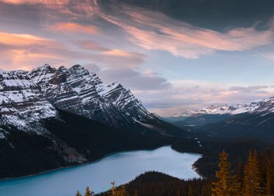 View overlooking the sunset at the Peyto Look out. Peyt ... 